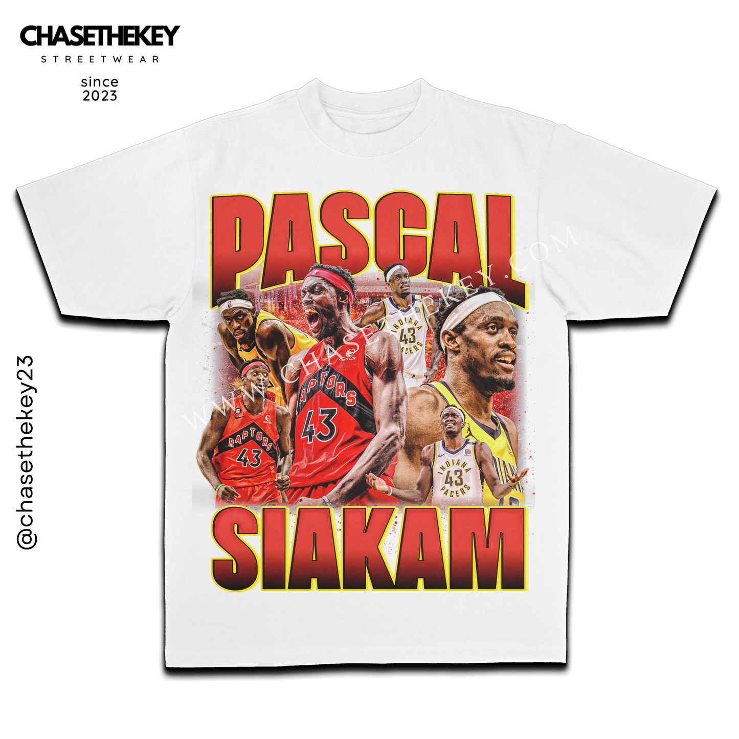 Pascal Siakam Toronto basketball graphic tee