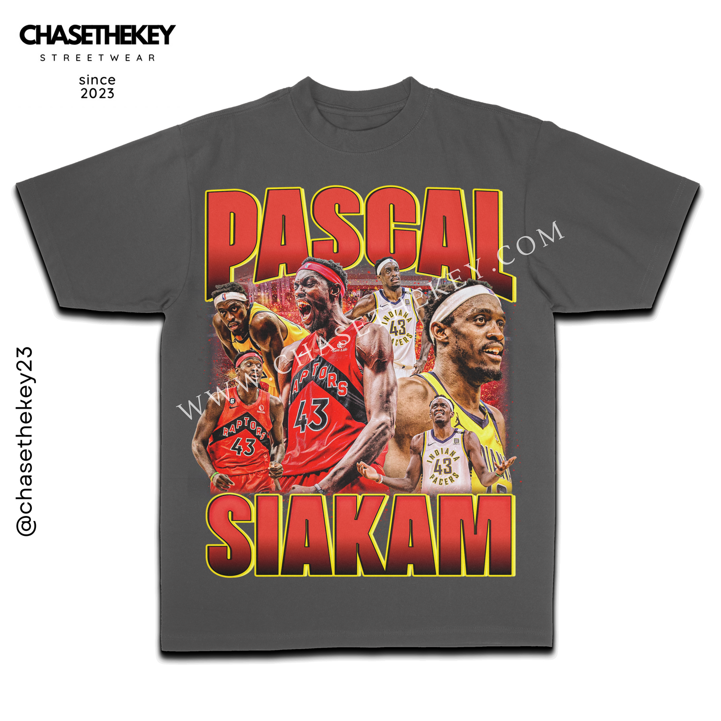 Pascal Siakam Toronto basketball graphic tee