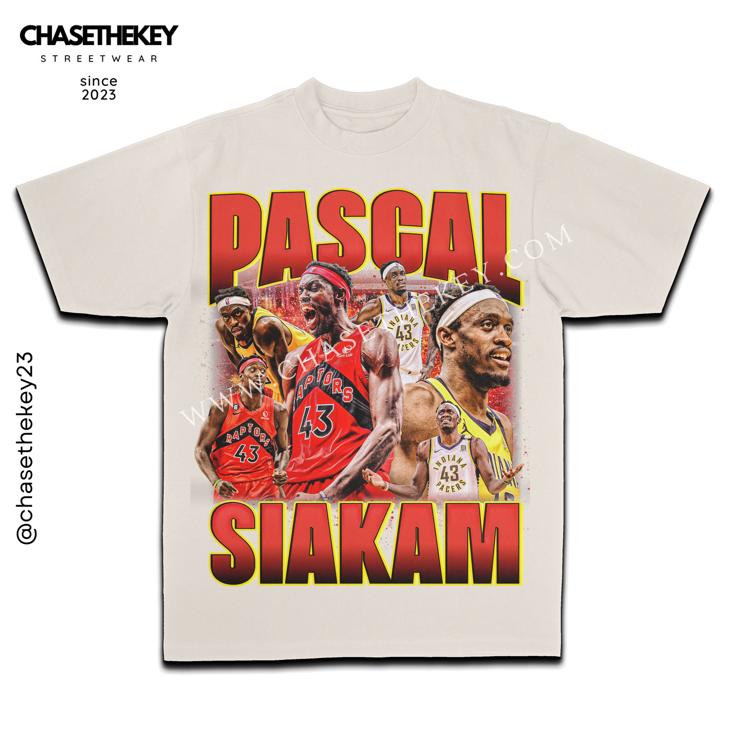 Pascal Siakam Toronto basketball graphic tee