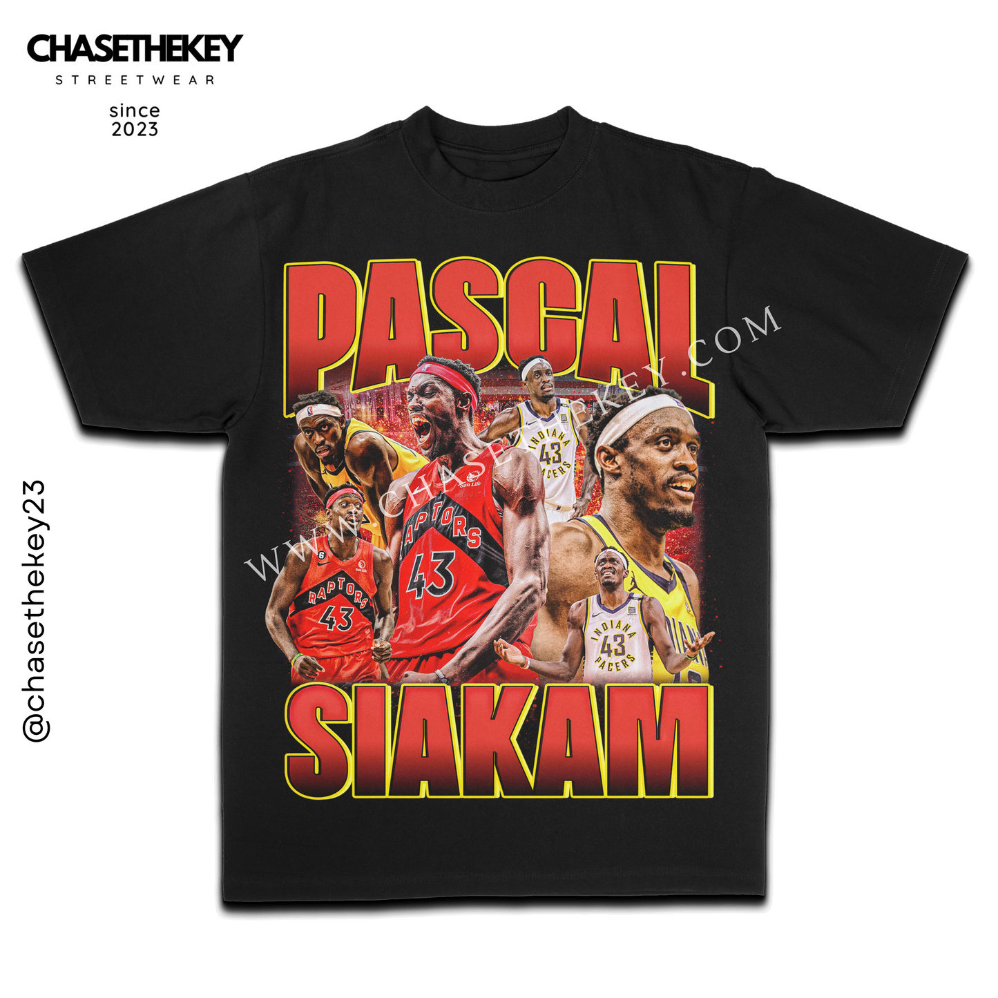 Pascal Siakam Toronto basketball graphic tee