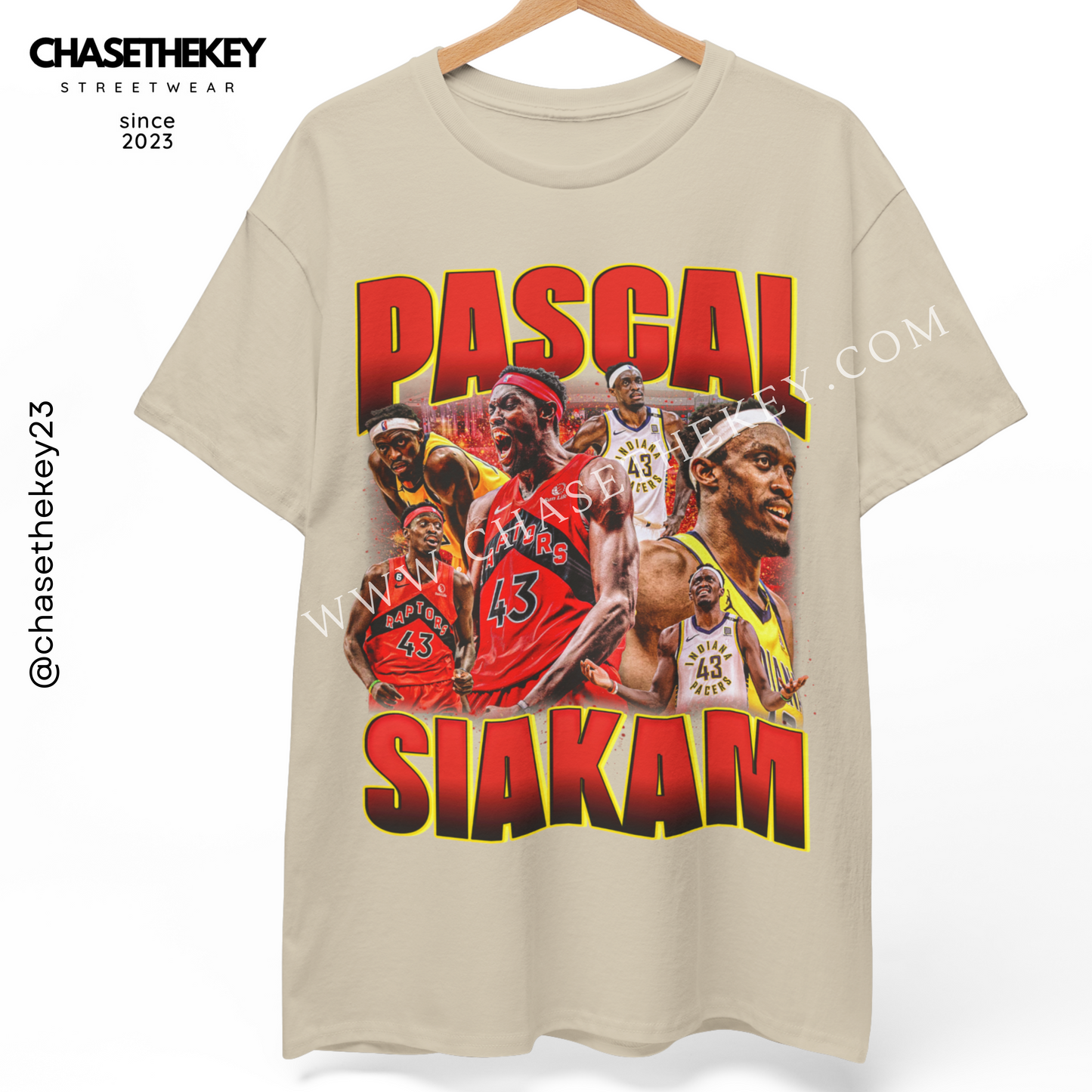 Pascal Siakam Toronto basketball graphic tee